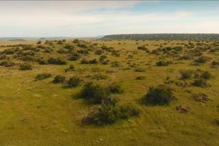  Bedroom Property for Sale in Fauresmith Rural Free State